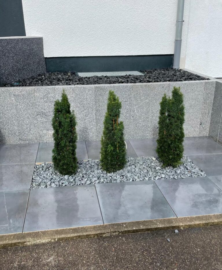 Vorgarten Steinplatten, Steine und Bepflanzung
